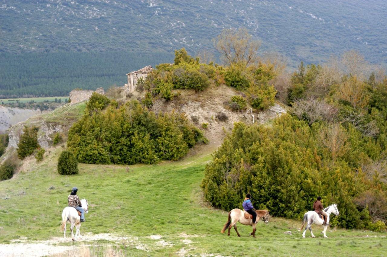 Apartamento Pilare, A Las Puertas Del Pirineo Navarro ルンビエル エクステリア 写真